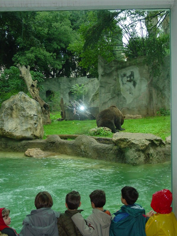 Al Bioparco